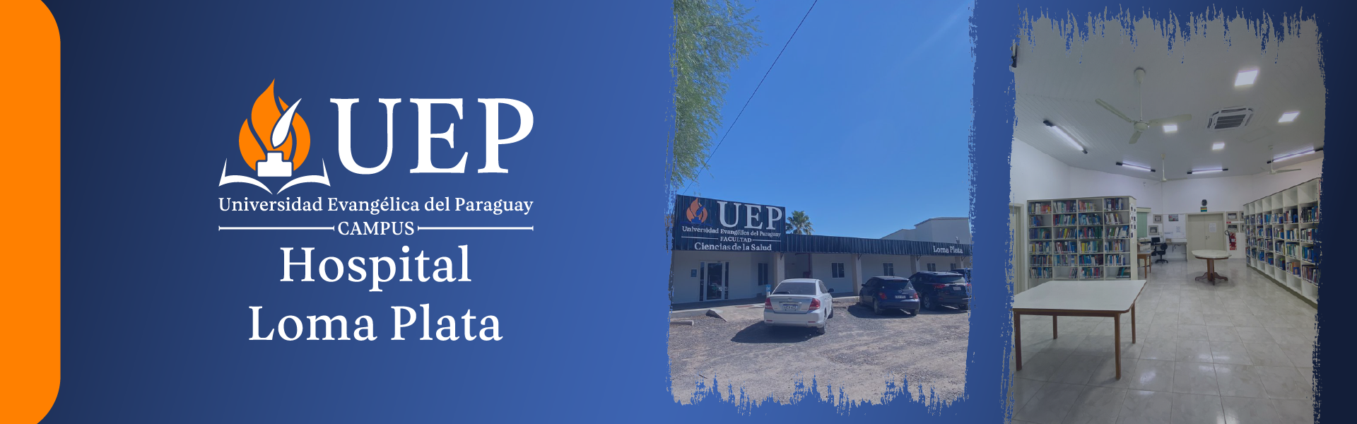 Descripción de la imagen